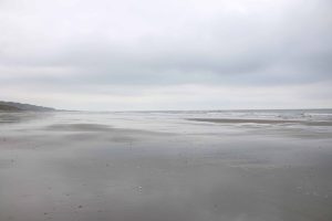 浜辺