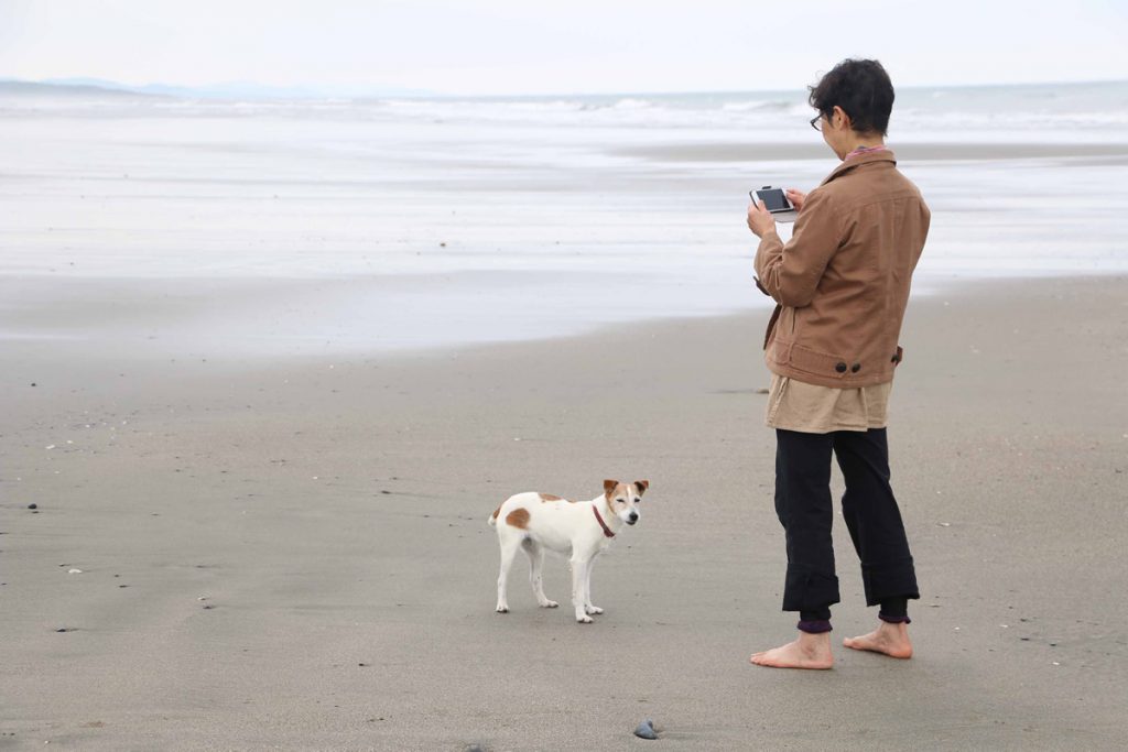 砂浜をはなちゃんと散歩